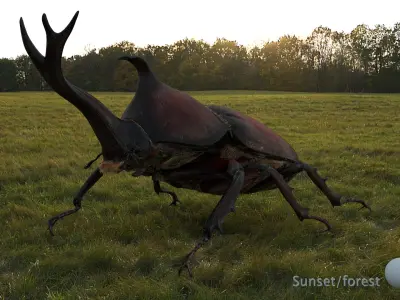 Rigged rhinoceros Beetle 3D model