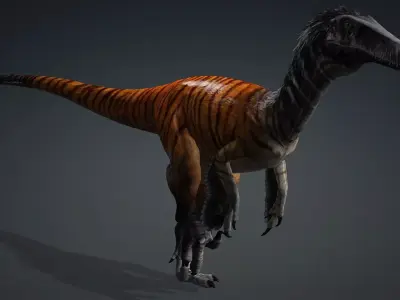 Austroraptor dinosaur 3D model type of dinosure Free 3D model