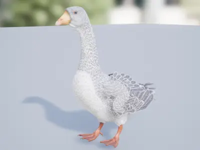 Goose  Low-poly 3D model