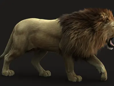 Lion 3 RIG FUR 3D model