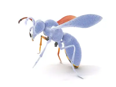 Vibrant Wasp Drone model pack Low-poly 3D model
