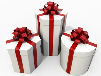 Gift Boxes - Round and Hexagon Trio with Tied Ribbon Rosette 3D model