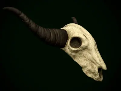 Bull Skull Low-poly 3D model