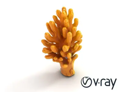 Fan-Shaped Coral Reef Structure model pack Low-poly 3D model