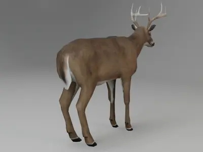 White-Tailed Deer Low-poly 3D model purchase