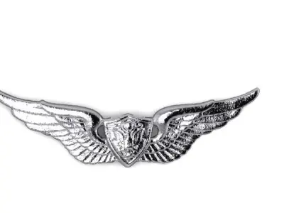 Army Aviation Aircraft Crewman Badge Miniature 3D print model