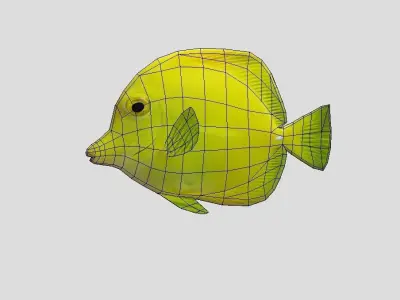 Yellow Tang 2 Realistic Animated Low-poly 3D model