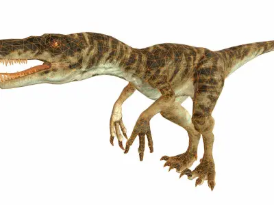Raptor Low-poly 3D model