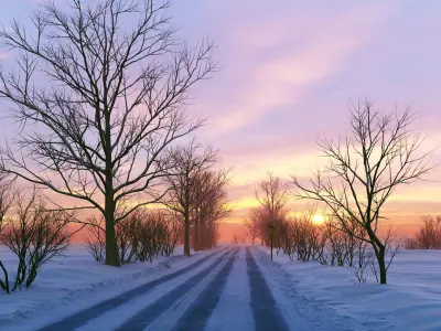  Winter Scene 