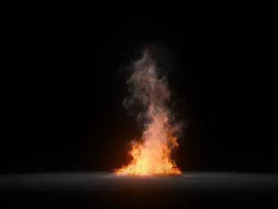 3D Fire Animation  3D model