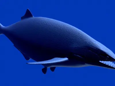 hypsocormus fish swimming in sea Low-poly 3D model