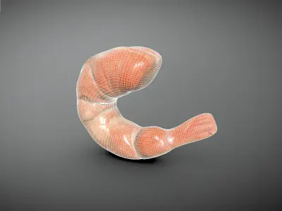 Shrimp clay sculpture 3D model