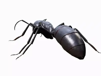 Ant walking game ready model Low-poly 3D model