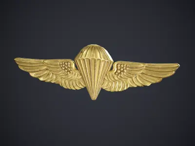 Navy Parachutist Badge Low-poly 3D model