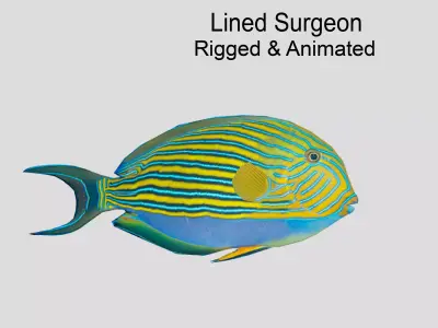 Lined Surgeon Realistic Animated Low-poly 3D model