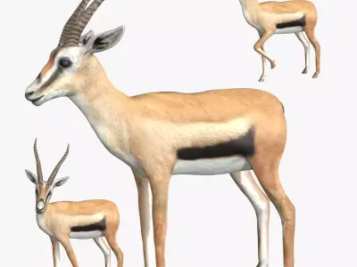 Gazelle with long horns Low-poly 3D model