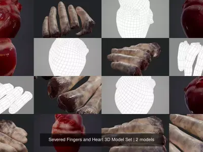 Severed Fingers and Heart 3D Model Set 3D Model Pack