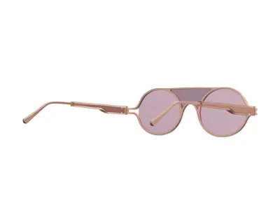Pink Brow Sunglasses 3D model