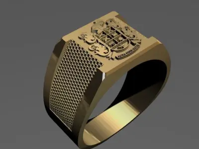 ANILLO DE EJERCITO NACIONAL COLOMBIA  3D model