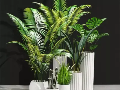 Indoor Plant Set 100 3D model