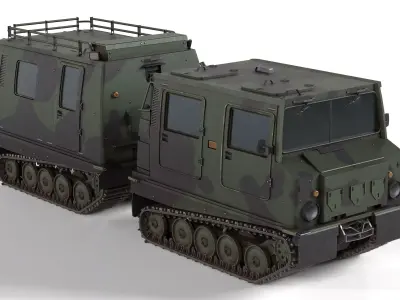 Bandvagn 206 Tracked Terrain Carrier Low-poly 3D model