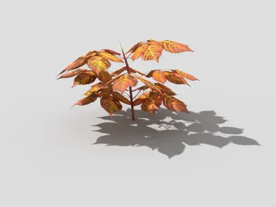 Plant with orange leaves Low-poly 3D model