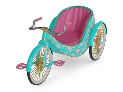 Recumbent Tricycle 3D model order
