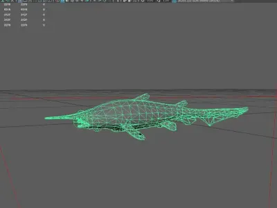Shark Low-poly 3D model 27