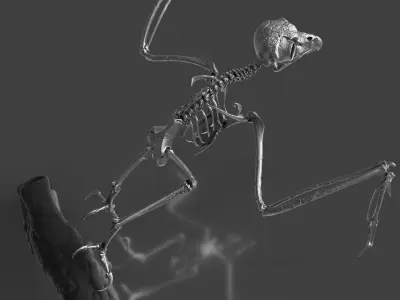Silver Metal Owl Skeleton for Art Visualization Project 3D model