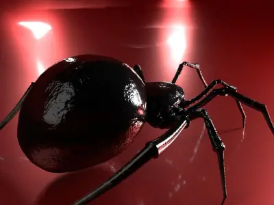 Spider 3D model 33
