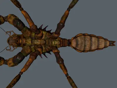 The mole mantis Low-poly 3D model