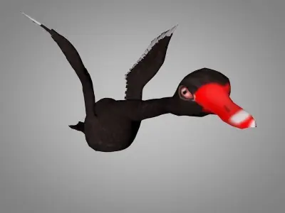 White and black Swan  Low-poly 3D model