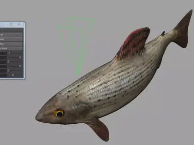 Fish 3D 3D model
