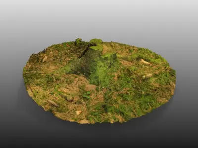 Forest Tree Stump 4K -Part 1-   Free low-poly 3D model