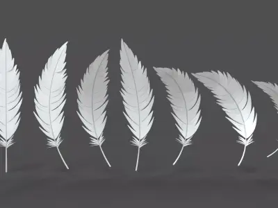 Feathers Set - 7 Assets 3D model