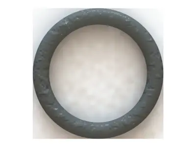 O Ring Vedabras 13696 3D model