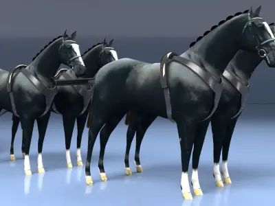 Funeral Carriage 3D model