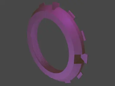Lock Nut And Lock Waher 3D model