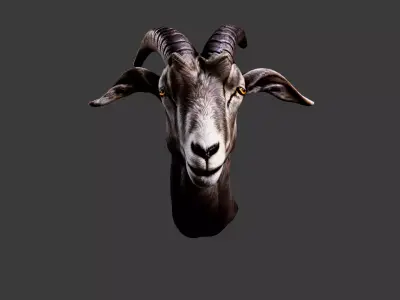 Deer Animal Head Low-poly 3D model 4