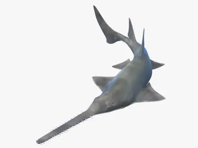 Rigged Sharks Collection 7 for Cinema 4D 3D model