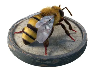 Bee - Blender Low-poly 3D model