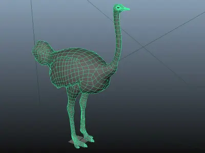 Ostrich 3D model order
