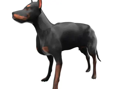 Doberman Low-poly 3D model