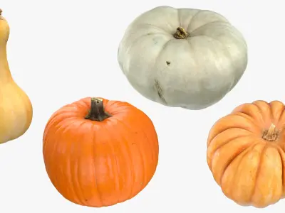 Pumkins Collection 08 - 10 models 3D model