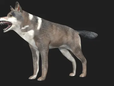 Wolf animal Low-poly 3D model