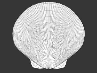 Ocean-Inspired Sea Shell 3D Model Low-poly 3D model