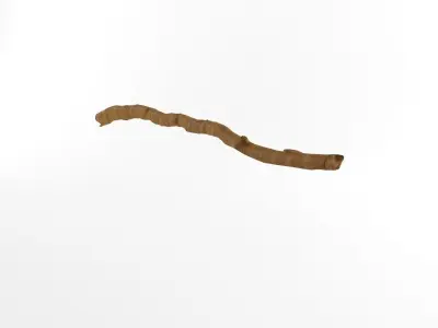Wooden Stick Branch Staff Low Poly Game Ready asset 3D model 2 Low-poly 3D model
