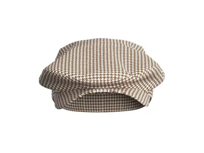 Flat Cap 3D model