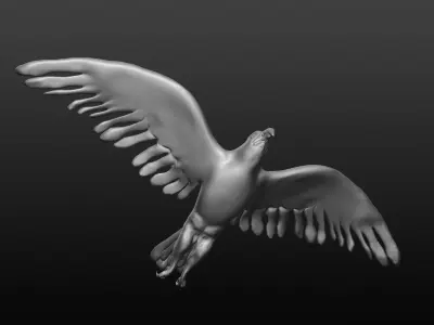 bald eagle 3D model