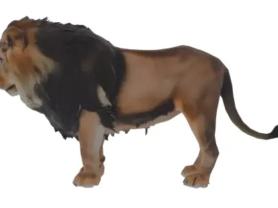 Lion Mammal Low-poly 3D model